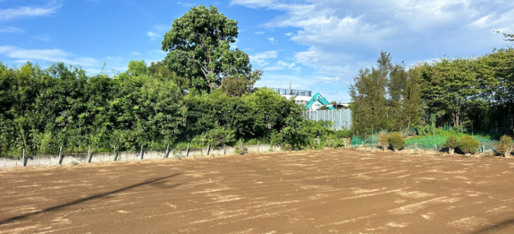 川口赤山貸地の写真