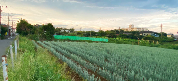 松戸市串崎新田12番1の画像