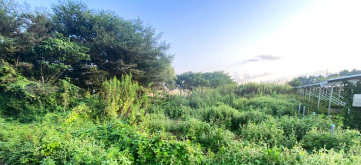 野田市木間ヶ瀬943-1の画像