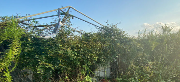 野田市木間ヶ瀬976の画像